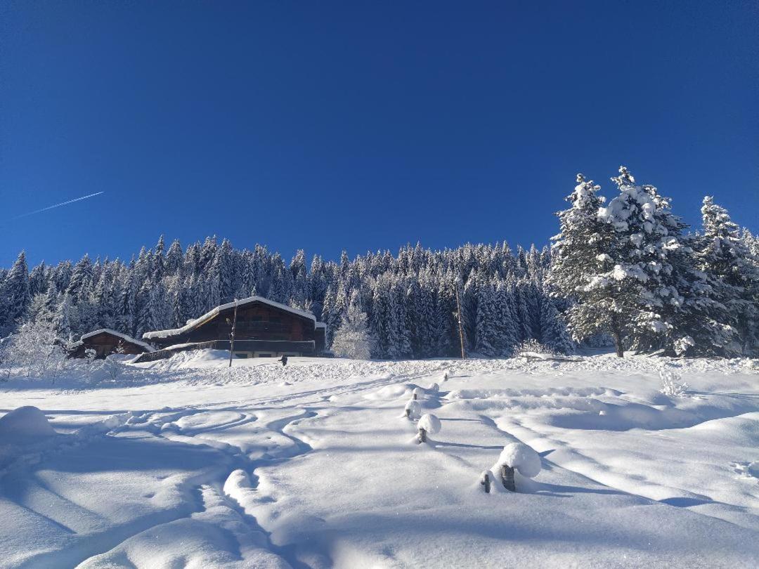 Chalet Lisa モルジヌ エクステリア 写真