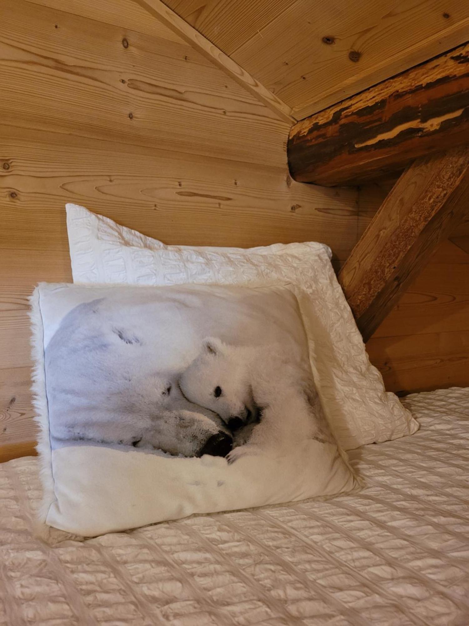 Chalet Lisa モルジヌ エクステリア 写真